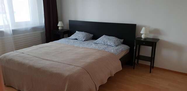 Апартаменты Cozy Center Apartment in Druskininkai Друскининкай-3